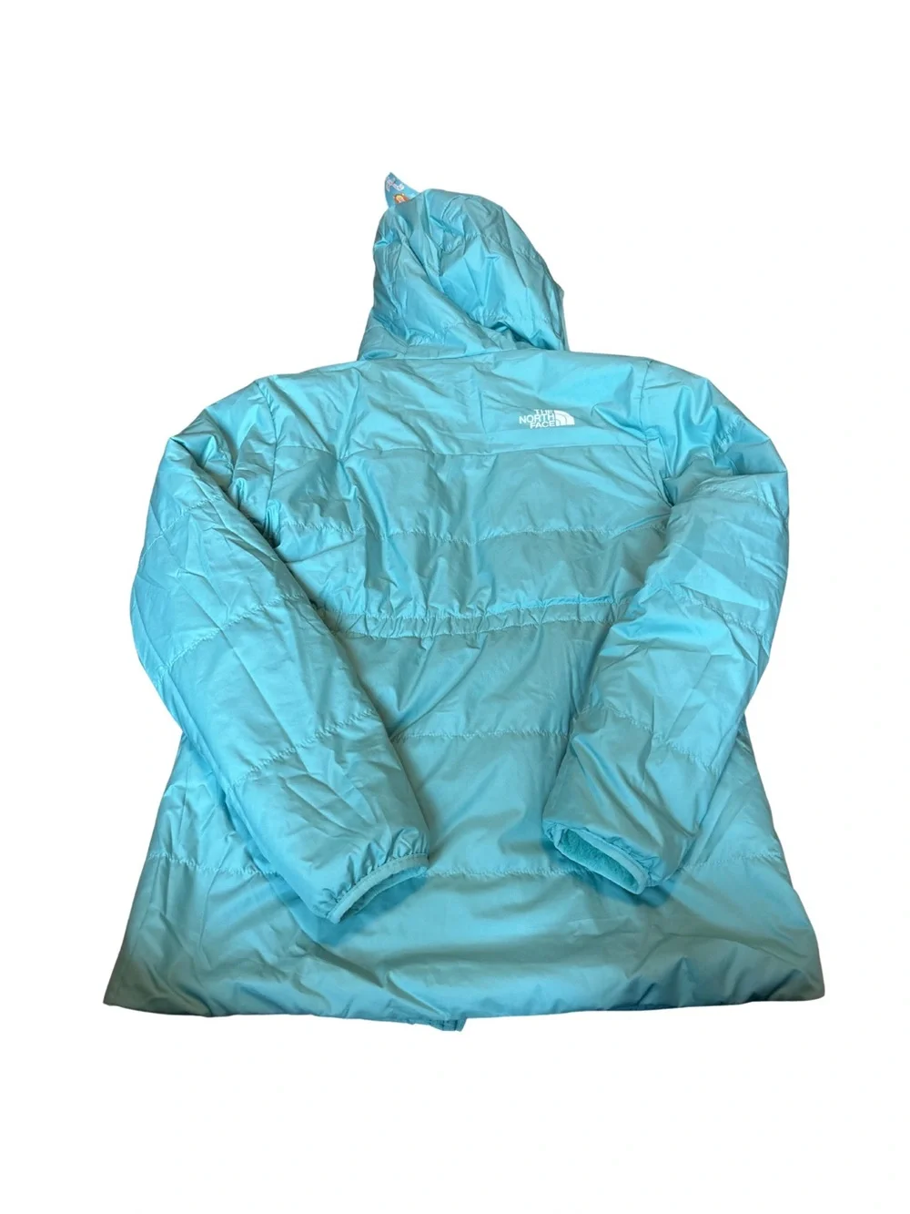 The North Face Turquoise Plush Hooded Fleece Jacket
